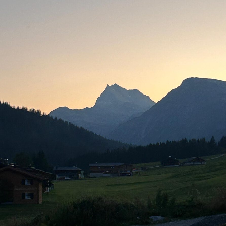 37978ed1-a3d7-499e-b493-3e3b6f1c9d6b